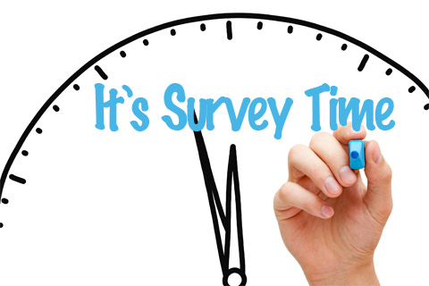 4th Marking Period Learning Survey