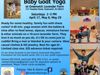 Baby Goat Yoga?!